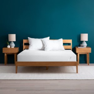 Tuft & Needle Adaptive Foam Mattress for back pain relief