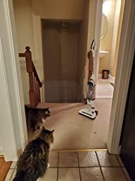 best cordless vacuum cleaner