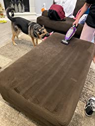 best handheld vacuum for pet hair