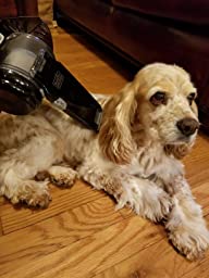 black and decker handheld vacuum