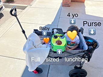 The EVER ADVANCED Foldable Wagon for Two Kids &&nbsp;Cargo