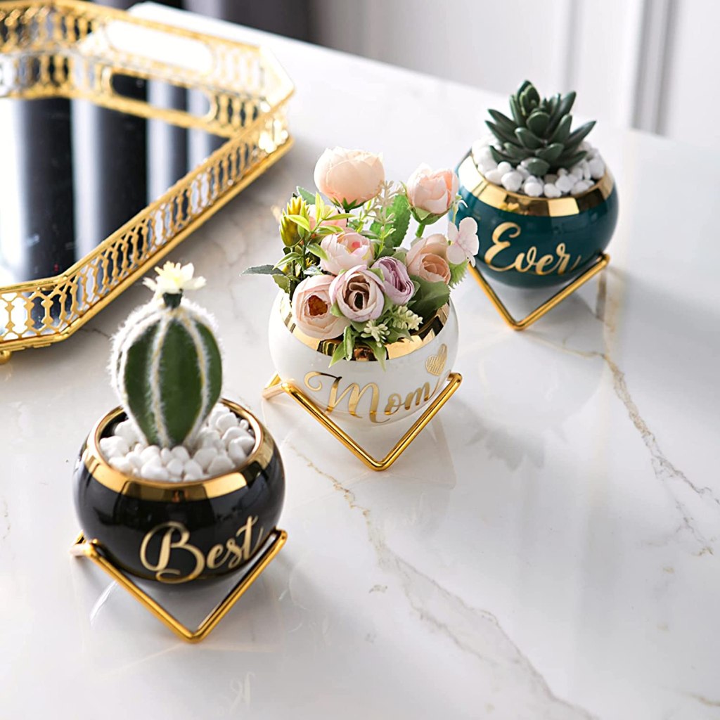 "Best Mom Ever" Succulent Pots