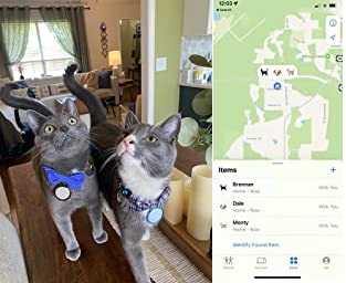 Never lose anything again! How to find my parked car iphone? How to find lost luggage at airport? How to find your lost wallet? How to find a lost bag? How to Keep track of my cat? How to Keep tabs on my child? How to know about the Location of my&nbsp;Dog?